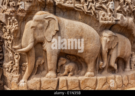 Les éléphants sur la Descente du Gange et la pénitence d'Arjuna sculpture en pierre ancienne - monument de Mahabalipuram, Tamil Nadu, Inde Banque D'Images