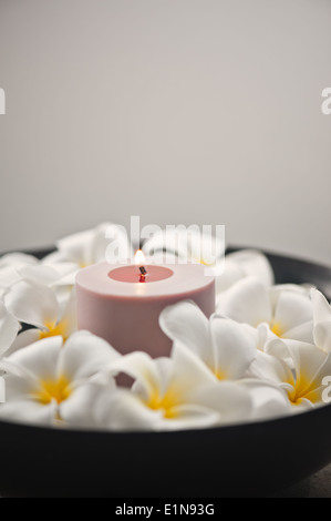 Fleur de frangipanier et décoration bougie dans un bol Banque D'Images