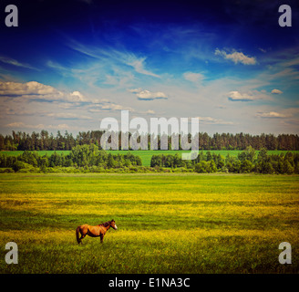 Retro Vintage style hipster image de voyage spring summer background - champ d'herbe verte prairie paysage paysage sous ciel bleu Banque D'Images