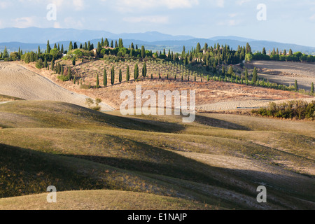 Paysage en région entre Sienne et Asciano, Crete Senesi, Province de Sienne, Toscane, Italie Banque D'Images