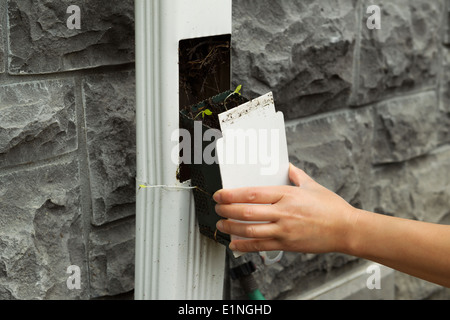 Photo horizontale Gros plan main de femme de chambre en sortant du filtre à gouttière avec mur de pierre en arrière-plan Banque D'Images