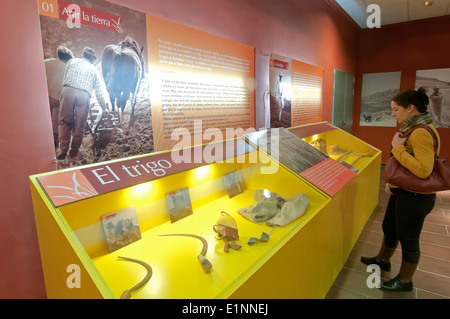 Centre thématique de la campagne andalouse, la route touristique des bandits, Alameda, province de Malaga, région d'Andalousie, Espagne, Europe Banque D'Images