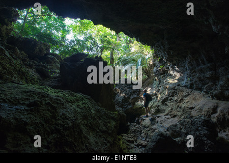 L'exploration de l'homme grotte de calcaire de l'immense au plus profond de la forêt tropicale intacte de l'île d'Iriomote, Okinawa, Japon tropical Banque D'Images