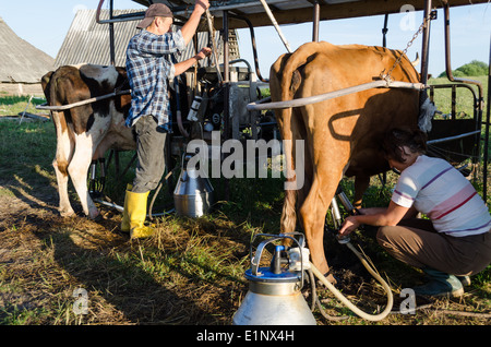 Deux agriculteurs ryots animaux vache laitière dans farm Banque D'Images