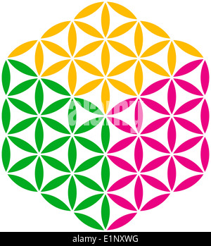 Fleur de vie Cube, créé avec trois couleurs différentes. Illustration sur fond blanc Banque D'Images