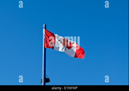 Drapeau canadien voler contre un ciel bleu vif. Feuille d'érable rouge drapeau du Canada. Banque D'Images