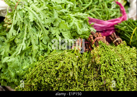 Herbes et épices biologiques frais au marché asiatique Banque D'Images