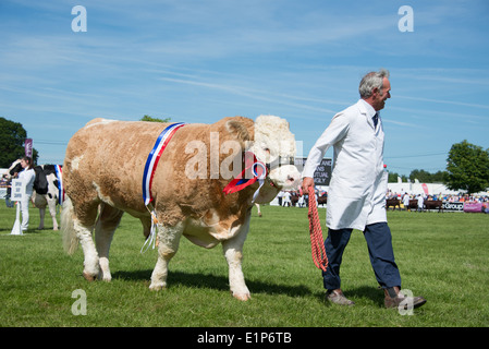 Défilé des champions au sud de l'Angleterre Show 2014 Banque D'Images