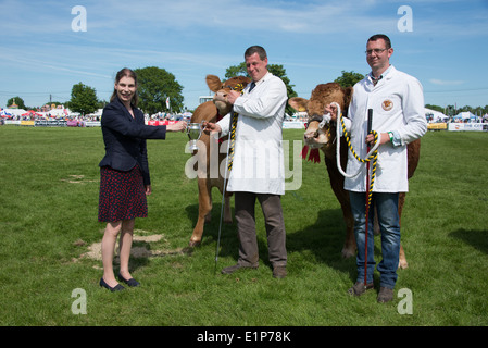 Défilé des champions au sud de l'Angleterre Show 2014 Banque D'Images