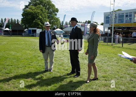 Défilé des champions au sud de l'Angleterre Show 2014 Banque D'Images