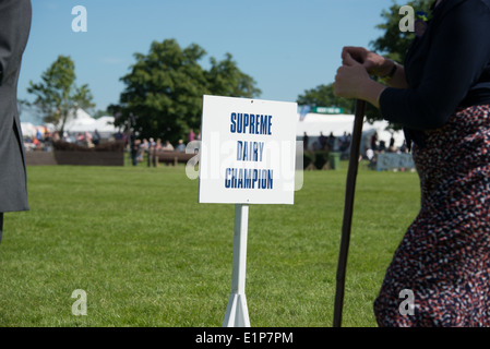 Défilé des champions au sud de l'Angleterre Show 2014 Banque D'Images