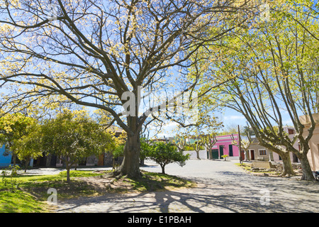 Colonia de Sacramento square, sur les rives de la rivière d'argent, de l'Uruguay. Banque D'Images