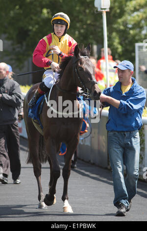 Bertie Le Belge le vainqueur de l'Irish Stallion Farms Maiden Fonds sélectionneurs européens avec Colin Keane Banque D'Images