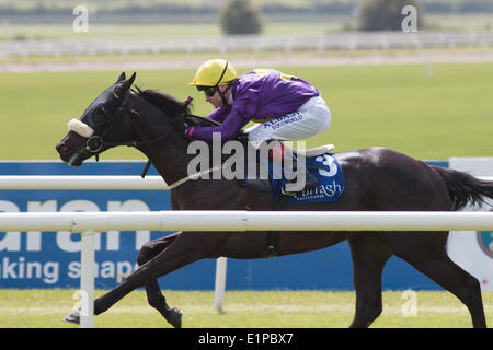 Pilote de brousse et Pat Smullen gagner le Découvrez l'Irlande Dublin Horse Show à la jeune fille de RDS à l'hippodrome de Curragh Dermot Weld Banque D'Images