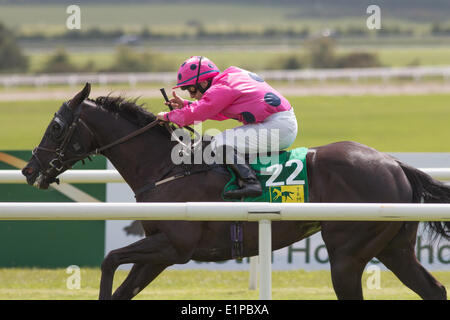 Big Bad Lily et Wayne Lordan remportant le TRI Equestrian Superstore et Cafe handicap à l'Hippodrome de Curragh Banque D'Images