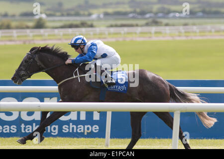 Surcharge du système et Gary Carroll gagnants du Nathan carter Au Derby de jeune fille au Festival pour l'Hippodrome de Curragh trainer Ger Lyons Banque D'Images