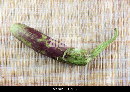 L'aubergine pourpre sur fond noir motif bambou. Banque D'Images