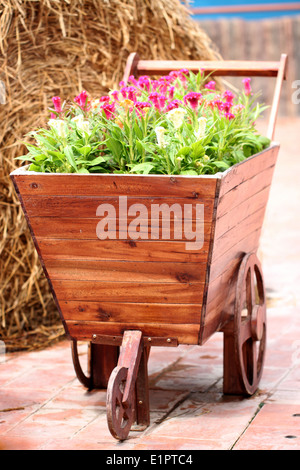 Ancienne en bois Panier planté des fleurs dans la ferme. Banque D'Images