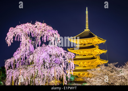 Temple Todai-ji pagode dans le printemps à Kyoto, au Japon. Banque D'Images