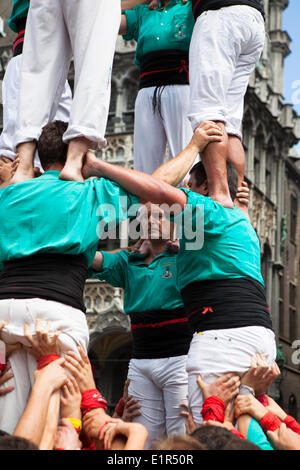 Bruxelles, Belgique. 8 juin, 2014. Castellers de Vilafranca construire un Castell, ou des droits traditionnels, tour à la Grand Place, Bruxelles, le 8 juin 2014, dans le cadre d'une journée ou d'actions dans l'ensemble de l'Europe appelant à l'indépendance catalane de l'Espagne. Un référendum sur la question de est appelée pour le 9 novembre 2014, mais est bloquée par le gouvernement espagnol. Des événements similaires ont été castell aidant à Berlin, Genève, Lisbonne, Londres, Paris, Rome et Barcelone. Credit : deadlyphoto.com/Alamy Live News Banque D'Images