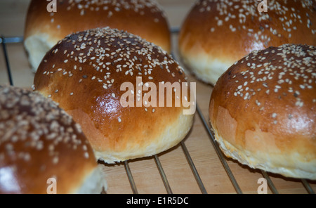 Brioche, pains hamburger avec graines de sésame sur grille de refroidissement Banque D'Images