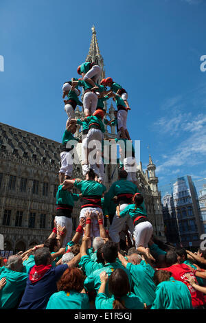 Bruxelles, Belgique. 8 juin, 2014. Castellers de Vilafranca construire un Castell, ou des droits traditionnels, tour à la Grand Place, Bruxelles, le 8 juin 2014, dans le cadre d'une journée ou d'actions dans l'ensemble de l'Europe appelant à l'indépendance catalane de l'Espagne. Un référendum sur la question de est appelée pour le 9 novembre 2014, mais est bloquée par le gouvernement espagnol. Des événements similaires ont été castell aidant à Berlin, Genève, Lisbonne, Londres, Paris, Rome et Barcelone. Credit : deadlyphoto.com/Alamy Live News Banque D'Images