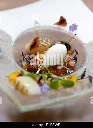 Pétoncles grillés,dés de pommes de terre sautées, salade de pousses et de fleurs comestibles Banque D'Images