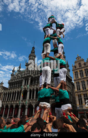 Bruxelles, Belgique. 8 juin, 2014. Castellers de Vilafranca construire un Castell, ou des droits traditionnels, tour à la Grand Place, Bruxelles, le 8 juin 2014, dans le cadre d'une journée ou d'actions dans l'ensemble de l'Europe appelant à l'indépendance catalane de l'Espagne. Un référendum sur la question de est appelée pour le 9 novembre 2014, mais est bloquée par le gouvernement espagnol. Des événements similaires ont été castell aidant à Berlin, Genève, Lisbonne, Londres, Paris, Rome et Barcelone. Credit : deadlyphoto.com/Alamy Live News Banque D'Images