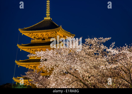 Blooming cherry tree éclairés la nuit avec de la pagode du temple Toji derrière, Kyoto, Japon Banque D'Images