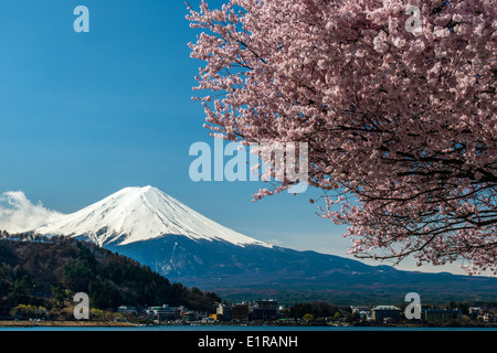 Le Mont Fuji avec blooming cherry tree comme vu du lac Kawaguchi, préfecture de Yamanashi, Japon Banque D'Images