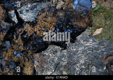 Crossett, Arkansas, USA. Mar 15, 2013. Une substance goudronneuse noire est trouvé dans tout déposés illégalement Crossett Crossett, Parc de la ville de l'Arkansas. © Nicolas Czarnecki/ZUMAPRESS.com/Alamy Live News Banque D'Images