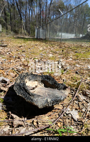 Crossett, Arkansas, USA. Mar 15, 2013. Une balle est trouvé s'est désintégrée juste à côté de l'usine de contreplaqué de Georgia-Pacific et papier dans la propriété Crossett, Arkansas. © Nicolas Czarnecki/ZUMAPRESS.com/Alamy Live News Banque D'Images