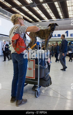 Le chien se déplace sur le haut de la boîte de chargement des animaux d'une compagnie aérienne dans l'aérogare principale de l'aéroport d'Orly. Banque D'Images