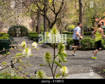 Couple Jogging , Gramercy Park, NYC, USA Banque D'Images