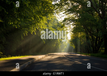 Rayons de soleil tombant sur la route Banque D'Images