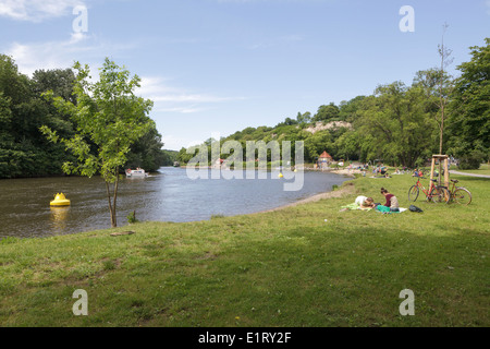 De la rivière Saale, Ziegelwiese Saale, Sachsen-Anhalt, Allemagne Banque D'Images