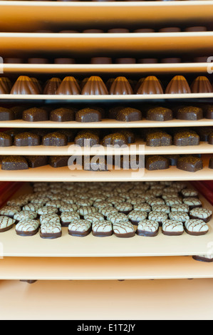 Plateaux avec confiseries au chocolat à l'usine de chocolat suisse Lindt & Spruengli à Zurich / Kilchberg Banque D'Images