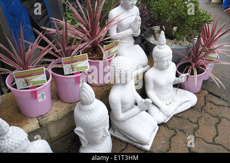 Australian Garden Center à Terrey Hills, Sydney, NSW, Australie Banque D'Images