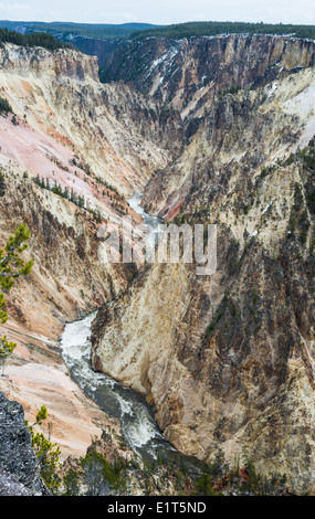 La rivière Yellowstone couper à travers le Grand Canyon du Parc National de Yellowstone, Wyoming, USA. Banque D'Images