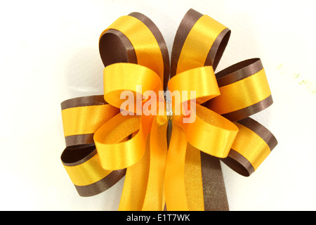 Un ribbin arc jaune et marron sur fond blanc Banque D'Images