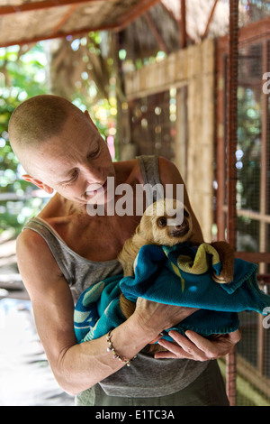 Baby sloth étant pris en charge par un membre du personnel au centre de sauvetage de la Jaguar Puerto Viejo Limon Costa Rica Banque D'Images