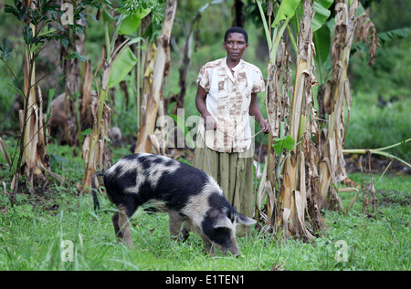 Une femme et son cochon dans la région de Nakasongola en Ouganda Banque D'Images