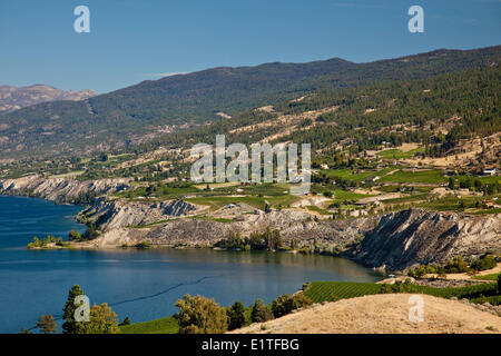 Avis de Naramata Bench près de Penticton, de l'Okanagan, BC, Canada. Banque D'Images