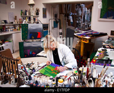 Artiste paintng en studio, l'Irlande Banque D'Images