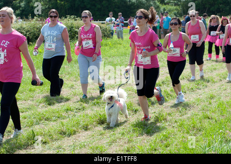 La race pour la vie, le Cancer Research UK Charity Event Banque D'Images