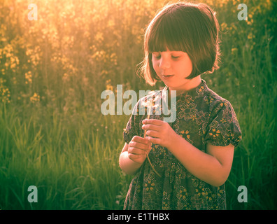 Little girl blowing out pissenlit dans un pré Banque D'Images