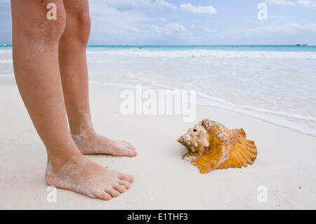 Jambes et coquillage échoué sur la plage de Tulum, Quintana Roo, Mexique Banque D'Images