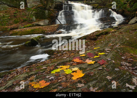 Peu de High Falls, Bracebridge, Muskoka, Ontario Banque D'Images