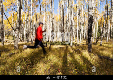 Middle aged male hiker tournant dans le parc national de Banff, Alberta Canada. Banque D'Images