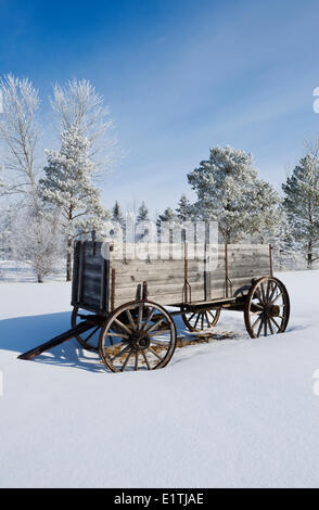 Ancien wagon, le givre sur les arbres, près d'Oakbank au Manitoba, Canada Banque D'Images